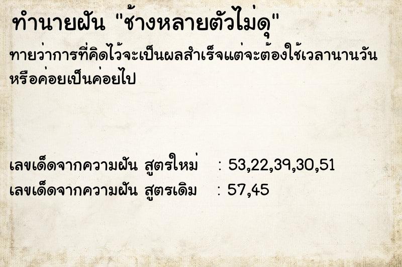 ทำนายฝันทำนายฝันช้างหลายตัวไม่ดุ