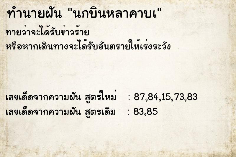 ทำนายฝันนกบินหลาคาบเ ทำนายฝันทำนายฝันนกบินหลาคาบเ