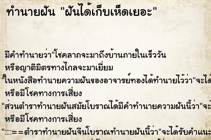 ทำนายฝันฝันได้เก็บเห็ดเยอะ ทำนายฝันทำนายฝันฝันได้เก็บเห็ดเยอะ