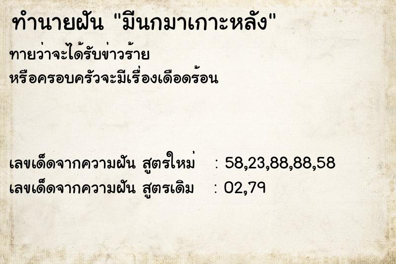ทำนายฝันทำนายฝันมีนกมาเกาะหลัง