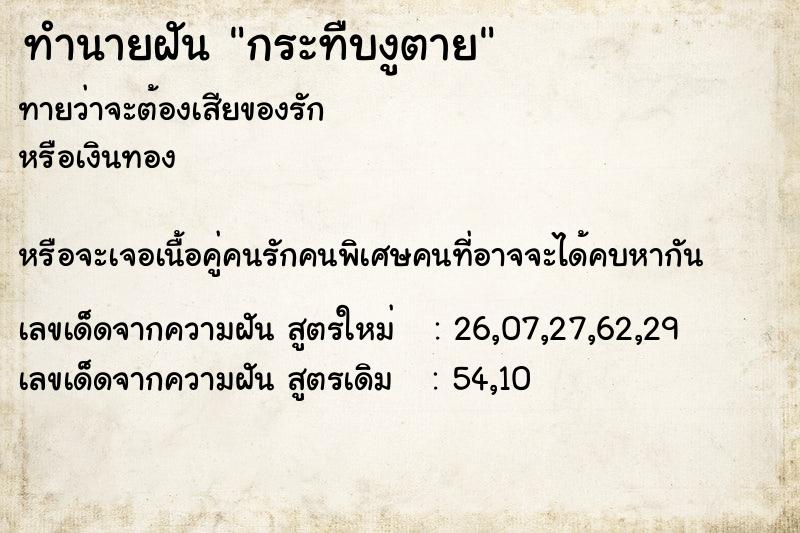 ทำนายฝันกระทืบงูตาย ทำนายฝันทำนายฝันกระทืบงูตาย