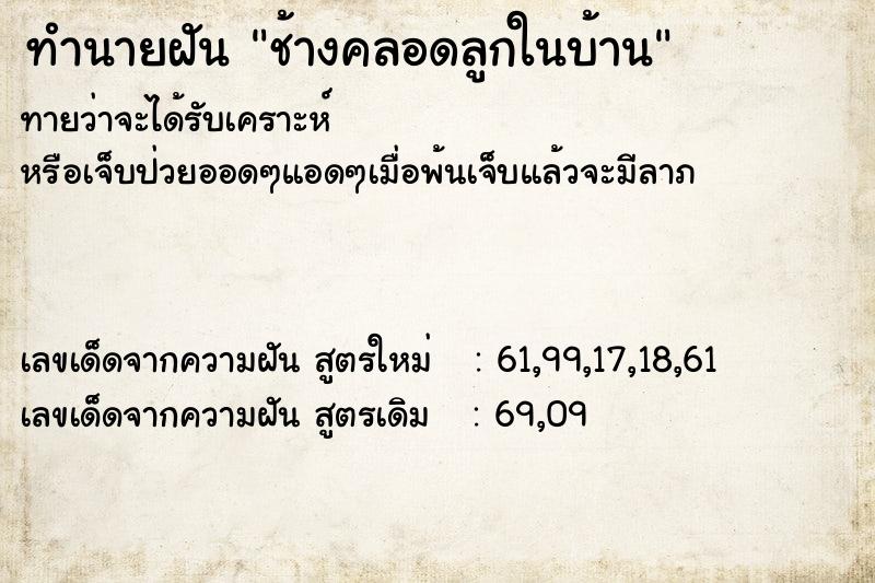 ทำนายฝันช้างคลอดลูกในบ้าน ทำนายฝันทำนายฝันช้างคลอดลูกในบ้าน