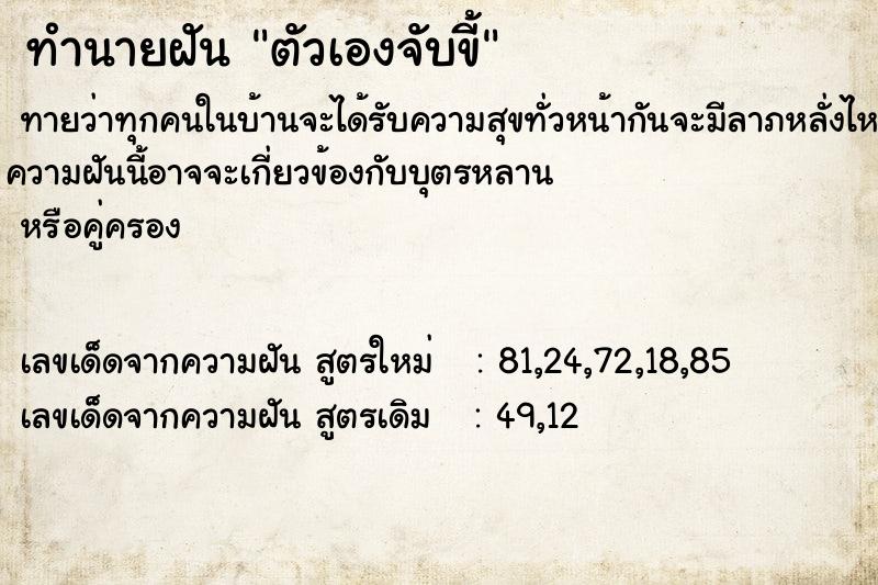 ทำนายฝันทำนายฝันตัวเองจับขี้