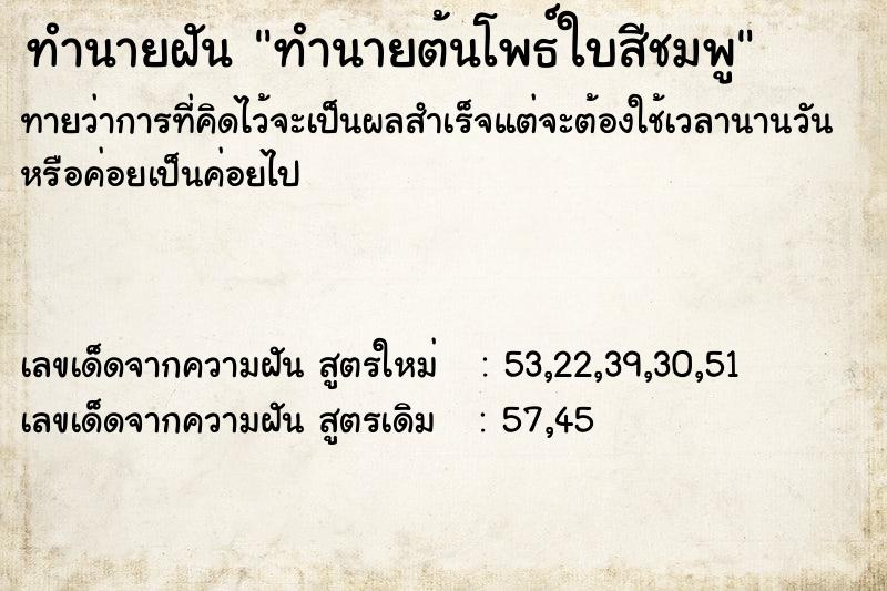 ทำนายฝันทำนายต้นโพธ์ใบสีชมพู ทำนายฝันทำนายฝันทำนายต้นโพธ์ใบสีชมพู
