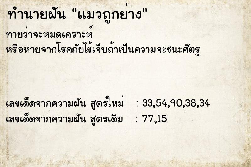 ทำนายฝันทำนายฝันแมวถูกย่าง