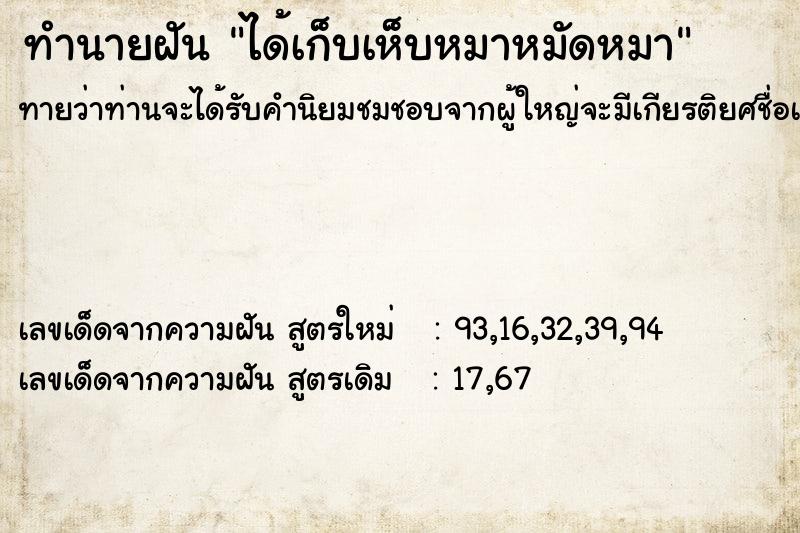 ทำนายฝันทำนายฝันได้เก็บเห็บหมาหมัดหมา