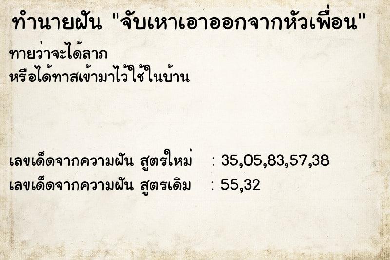 ทำนายฝันจับเหาเอาออกจากหัวเพื่อน ทำนายฝันทำนายฝันจับเหาเอาออกจากหัวเพื่อน