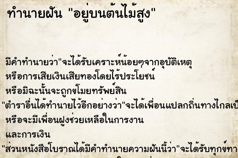 ทำนายฝัน อยู่บนต้นไม้สูง ทำนายฝัน อยู่บนต้นไม้สูง