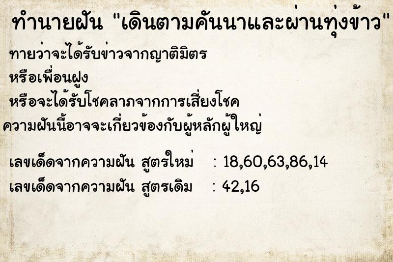 ทำนายฝันทำนายฝันเดินตามคันนาและผ่านทุ่งข้าว
