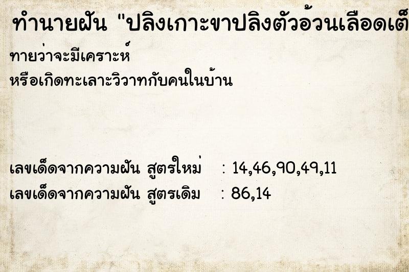 ทำนายฝันทำนายฝันปลิงเกาะขาปลิงตัวอ้วนเลือดเต็มตัว