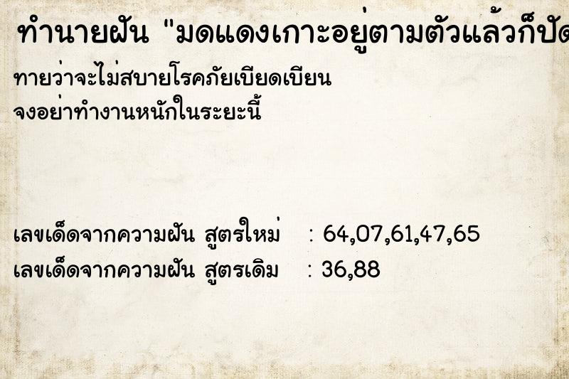 ทำนายฝันทำนายฝันมดแดงเกาะอยู่ตามตัวแล้วก็ปัดออก