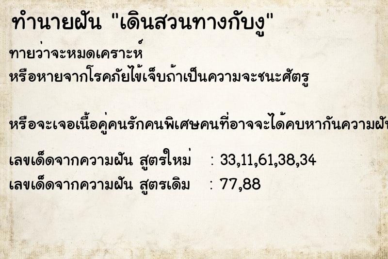 ทำนายฝันเดินสวนทางกับงู ทำนายฝันทำนายฝันเดินสวนทางกับงู