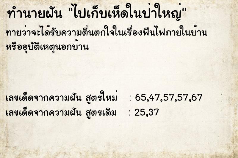 ทำนายฝันทำนายฝันไปเก็บเห็ดในป่าใหญ่