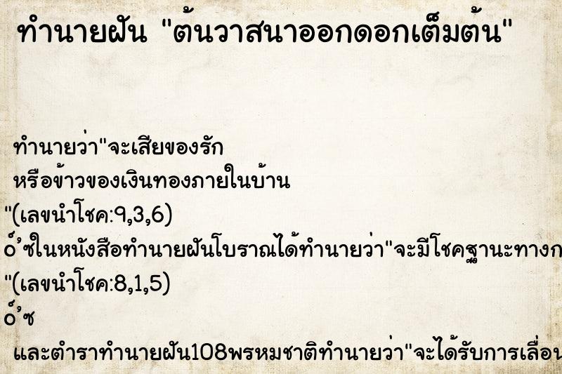 ทำนายฝัน ต้นวาสนาออกดอกเต็มต้น