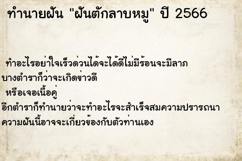 ทำนายฝันฝันตักลาบหมู ทำนายฝันทำนายฝันฝันตักลาบหมู