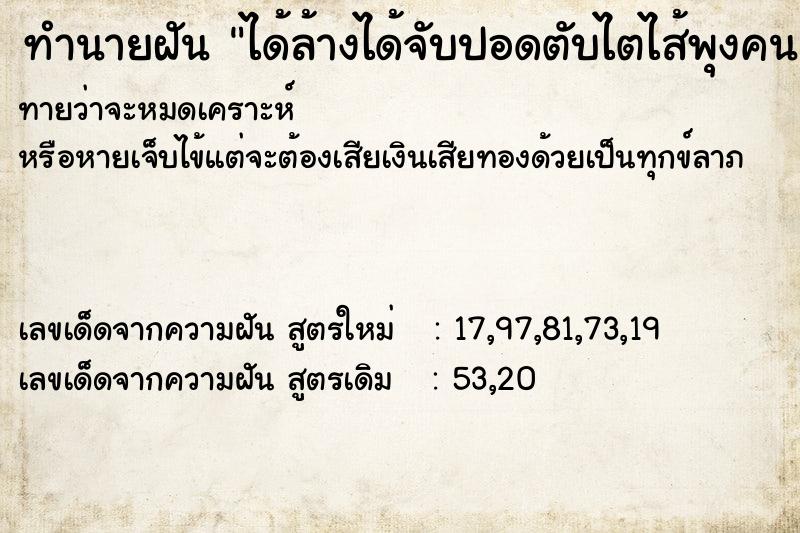 ทำนายฝันทำนายฝันได้ล้างได้จับปอดตับไตไส้พุงคน