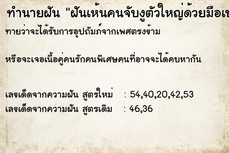 ทำนายฝันทำนายฝันฝันเห้นคนจับงูตัวใหญ่ด้วยมือเปล่า