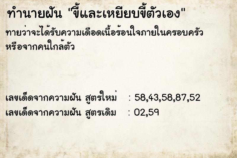 ทำนายฝันขี้และเหยียบขี้ตัวเอง ทำนายฝันทำนายฝันขี้และเหยียบขี้ตัวเอง