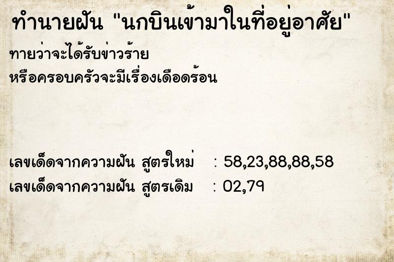 ทำนายฝันทำนายฝันนกบินเข้ามาในที่อยู่อาศัย