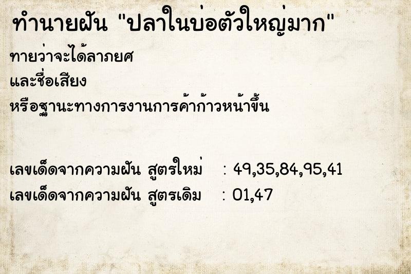 ทำนายฝัน ปลาในบ่อตัวใหญ่มาก ทำนายฝัน ปลาในบ่อตัวใหญ่มาก