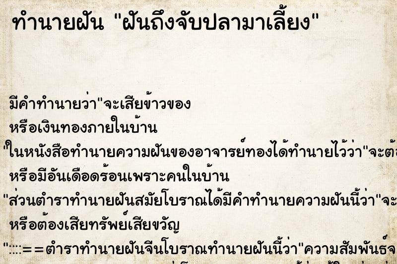 ทำนายฝันฝันถึงจับปลามาเลี้ยง ทำนายฝันทำนายฝันฝันถึงจับปลามาเลี้ยง