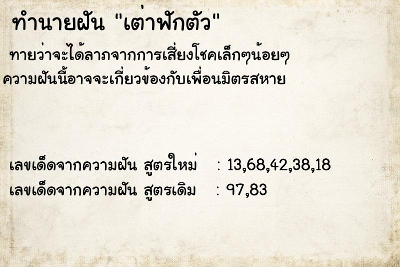 ทำนายฝันเต่าฟักตัว ทำนายฝันทำนายฝันเต่าฟักตัว