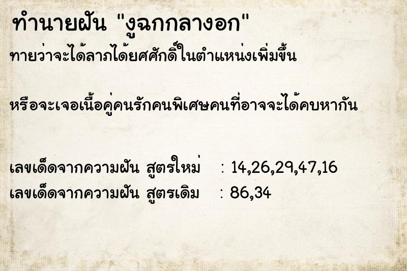 ทำนายฝันทำนายฝันงูฉกกลางอก