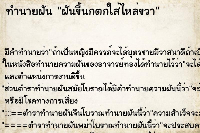 ทำนายฝัน ฝันขี้นกตกใส่ไหล่ขวา ทำนายฝัน ฝันขี้นกตกใส่ไหล่ขวา