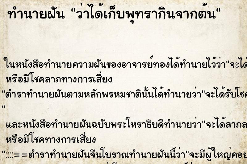 ทำนายฝัน ว่าได้เก็บพุทรากินจากต้น ทำนายฝัน ว่าได้เก็บพุทรากินจากต้น