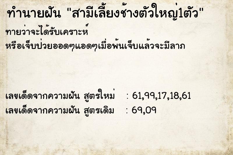 ทำนายฝันสามีเลี้ยงช้างตัวใหญ่1ตัว ทำนายฝันทำนายฝันสามีเลี้ยงช้างตัวใหญ่1ตัว