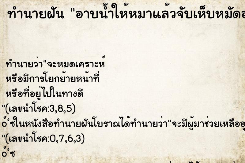 ทำนายฝันอาบน้ำให้หมาแล้วจับเห็บหมัดออกมาฆ่าหลายตัว ทำนายฝันทำนายฝันอาบน้ำให้หมาแล้วจับเห็บหมัดออกมาฆ่าหลายตัว