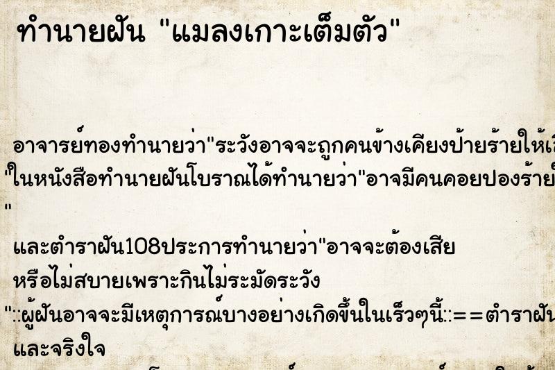 ทำนายฝัน แมลงเกาะเต็มตัว ตำราโบราณ แม่นที่สุดในโลก