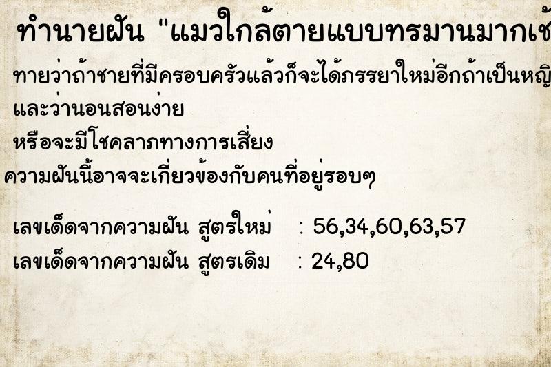 ทำนายฝัน แมวใกล้ตายแบบทรมานมากเช้าวัน ทำนายฝัน แมวใกล้ตายแบบทรมานมากเช้าวัน