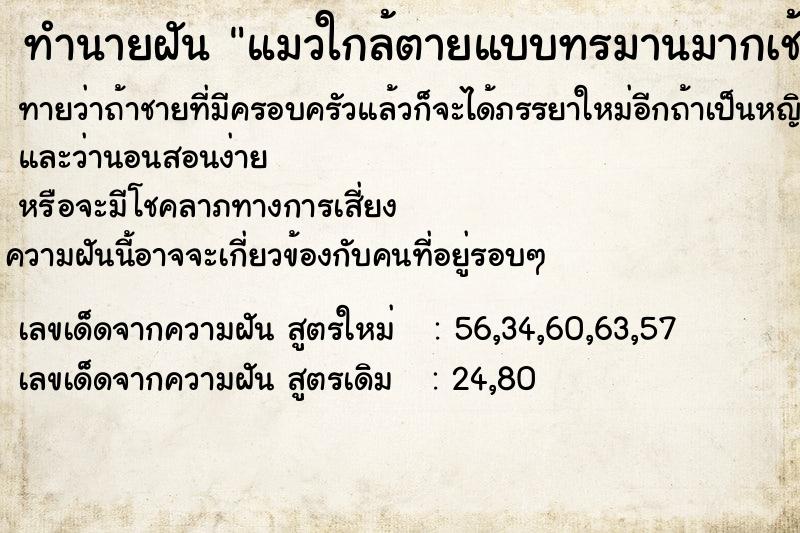 ทำนายฝัน แมวใกล้ตายแบบทรมานมากเช้าวัน ตำราโบราณ แม่นที่สุดในโลก