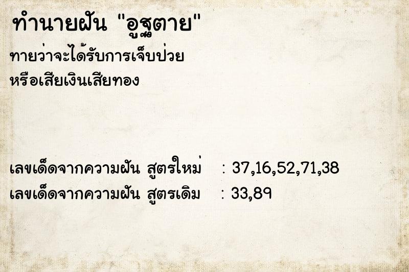 ทำนายฝันทำนายฝันอูฐตาย