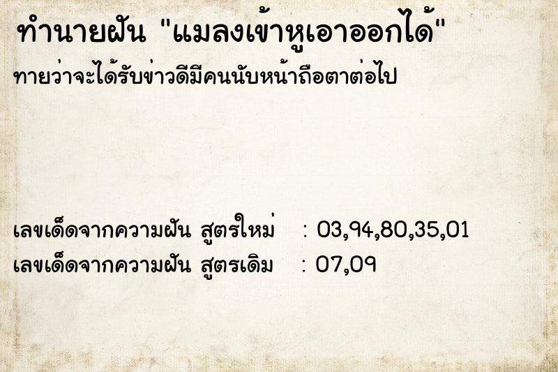 ทำนายฝัน แมลงเข้าหูเอาออกได้ ทำนายฝัน แมลงเข้าหูเอาออกได้