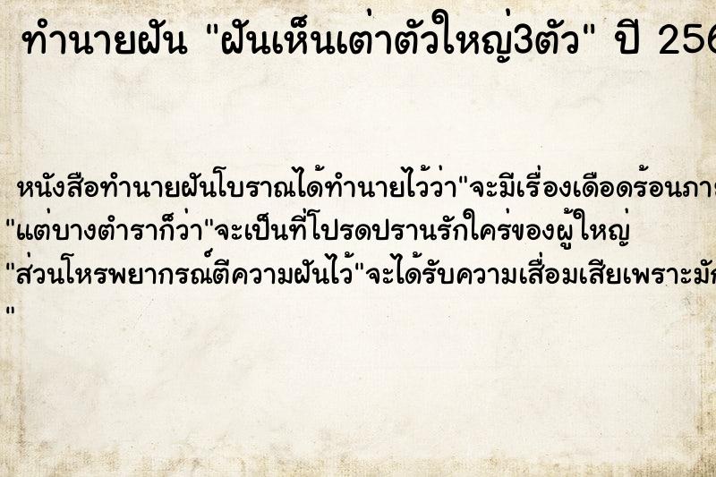 ทำนายฝันฝันเห็นเต่าตัวใหญ่3ตัว ทำนายฝันทำนายฝันฝันเห็นเต่าตัวใหญ่3ตัว