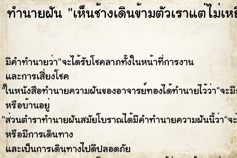 ทำนายฝัน เห็นช้างเดินข้ามตัวเราแต่ไม่เหยียบโดนตัวเราเลย ทำนายฝัน เห็นช้างเดินข้ามตัวเราแต่ไม่เหยียบโดนตัวเราเลย