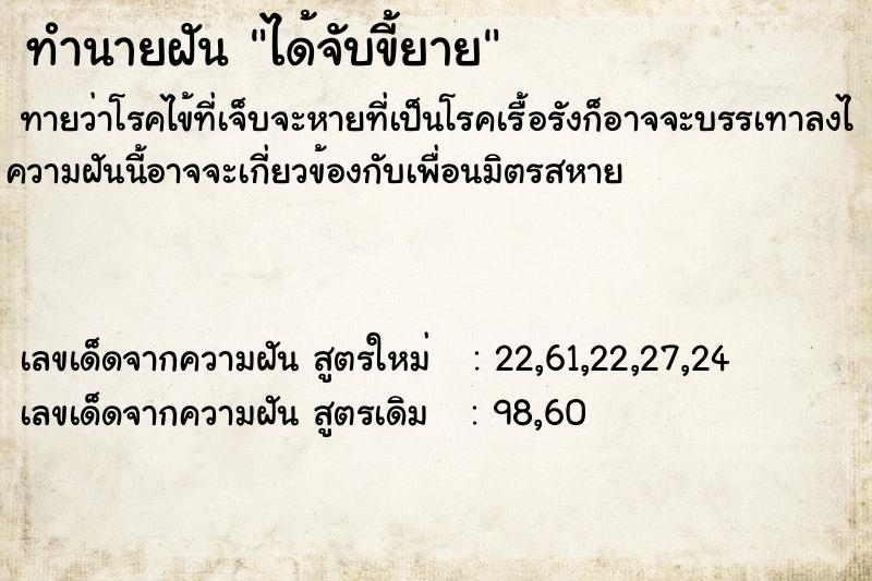 ทำนายฝันได้จับขี้ยาย ทำนายฝันทำนายฝันได้จับขี้ยาย