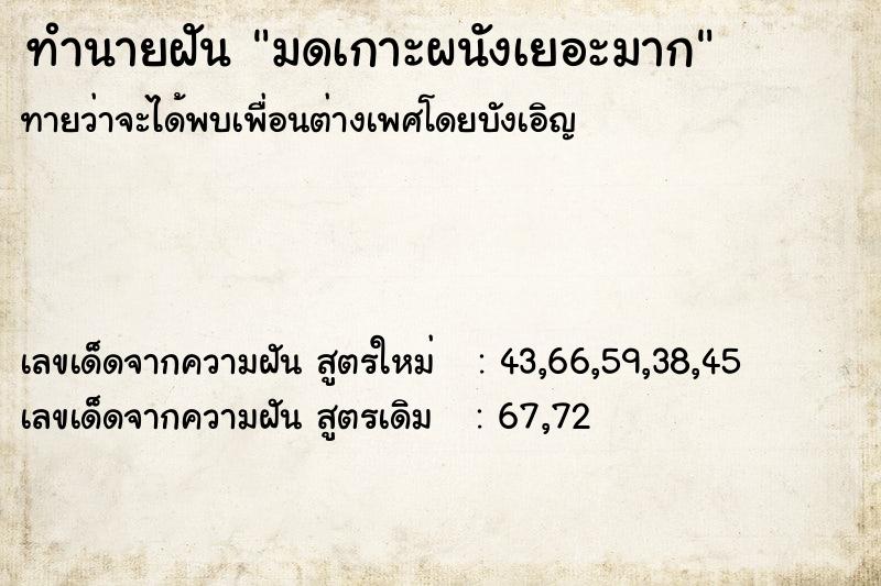 ทำนายฝัน มดเกาะผนังเยอะมาก
