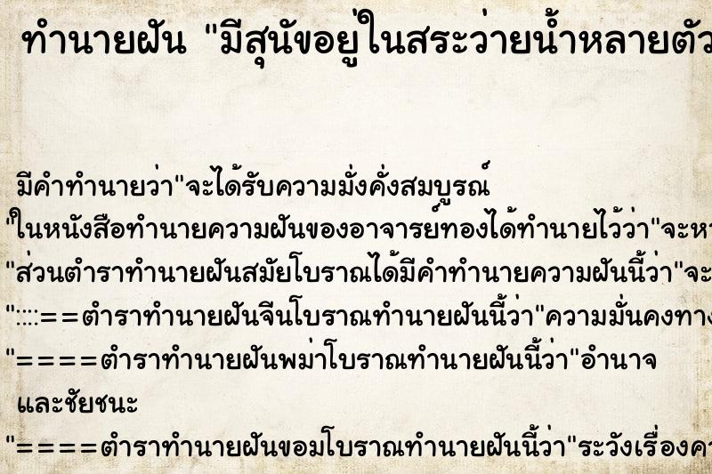 ทำนายฝันมีสุนัขอยู่ในสระว่ายน้ำหลายตัว ทำนายฝันทำนายฝันมีสุนัขอยู่ในสระว่ายน้ำหลายตัว