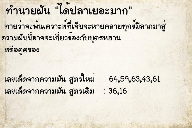 ทำนายฝัน ได้ปลาเยอะมาก ทำนายฝัน ได้ปลาเยอะมาก