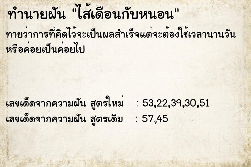 ทำนายฝันทำนายฝันไส้เดือนกับหนอน