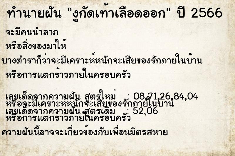 ทำนายฝันทำนายฝันงูกัดเท้าเลือดออก