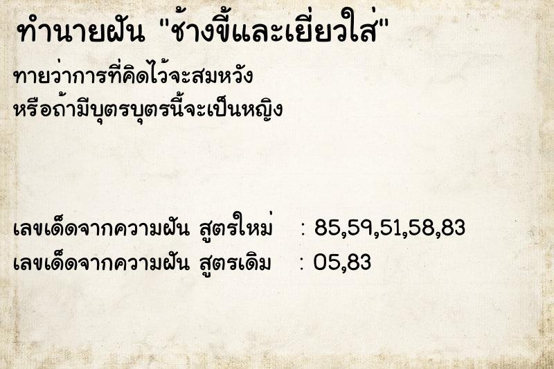 ทำนายฝันช้างขี้และเยี่ยวใส่ ทำนายฝันทำนายฝันช้างขี้และเยี่ยวใส่