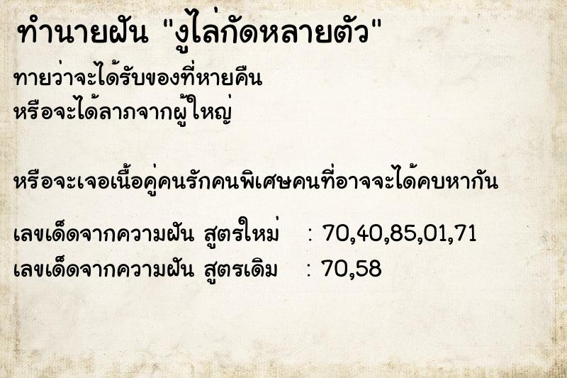 ทำนายฝันงูไล่กัดหลายตัว ทำนายฝันทำนายฝันงูไล่กัดหลายตัว