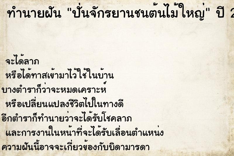 ทำนายฝันทำนายฝันปั่นจักรยานชนต้นไม้ใหญ่
