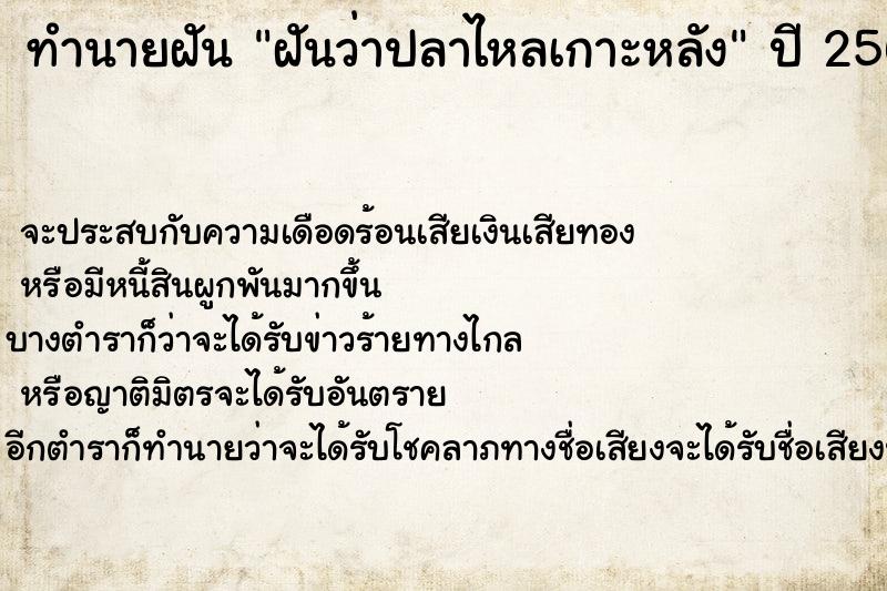 ทำนายฝันทำนายฝันฝันว่าปลาไหลเกาะหลัง