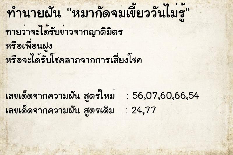 ทำนายฝันหมากัดจมเขี้ยววันไม่รู้ ทำนายฝันทำนายฝันหมากัดจมเขี้ยววันไม่รู้