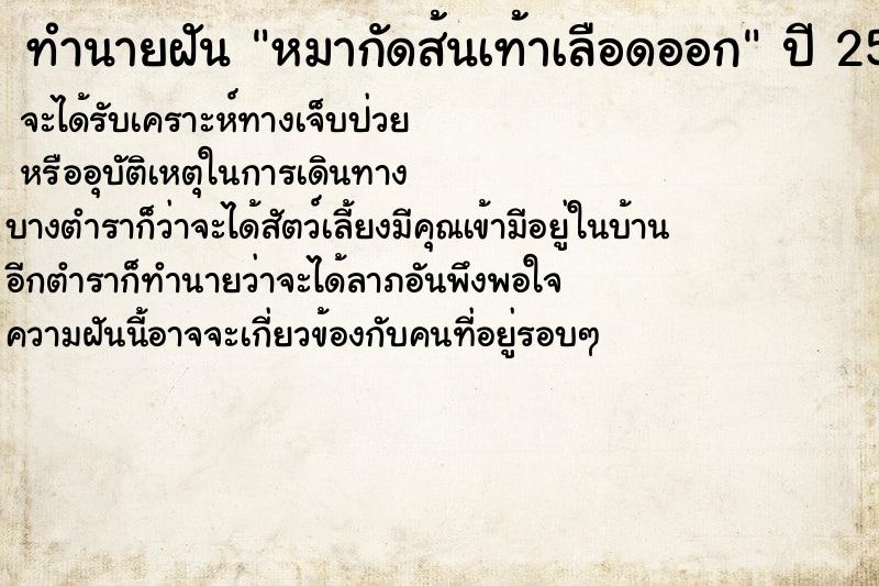 ทำนายฝัน หมากัดส้นเท้าเลือดออก ทำนายฝัน หมากัดส้นเท้าเลือดออก